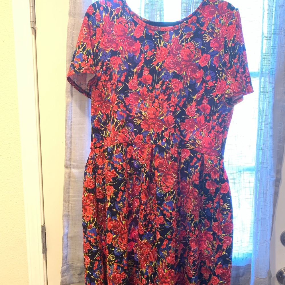 LulaRoe dress